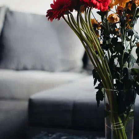 Modernes Penthouse Mit Panorama Im Herzen Von Villingen-Schwenningen